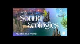 Reassemble Lab: Sound Ecologies - banner